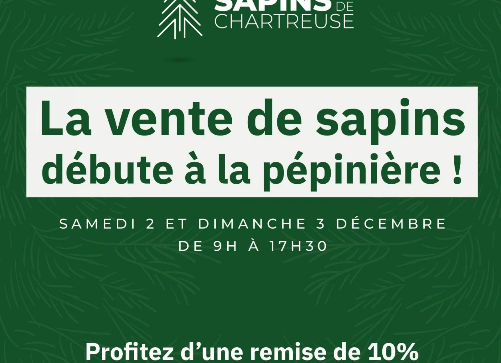 Image for La vente de sapins débute à la pépinière !